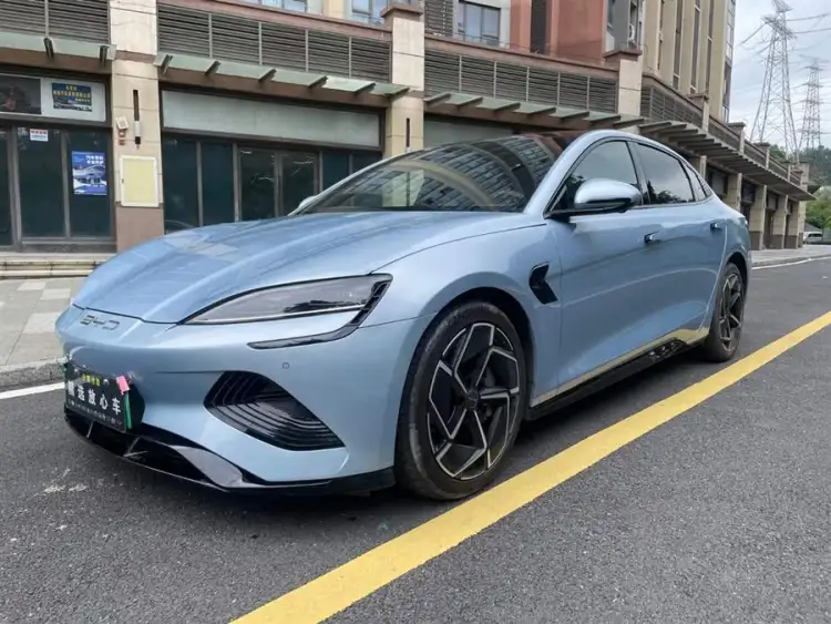 Sea Lion 2022 Model 700km Long Range Rear-Wheel Drive Version