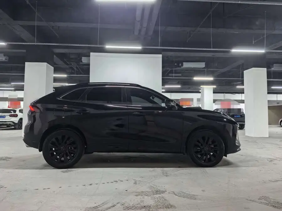 Fengxing T5 EVO 2021 1.5TD DCT Star Edition