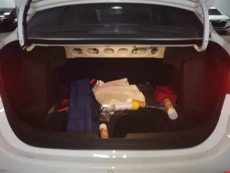 2020 Chevrolet Aveo Redline 325T Automatic Xinshi Edition National VI