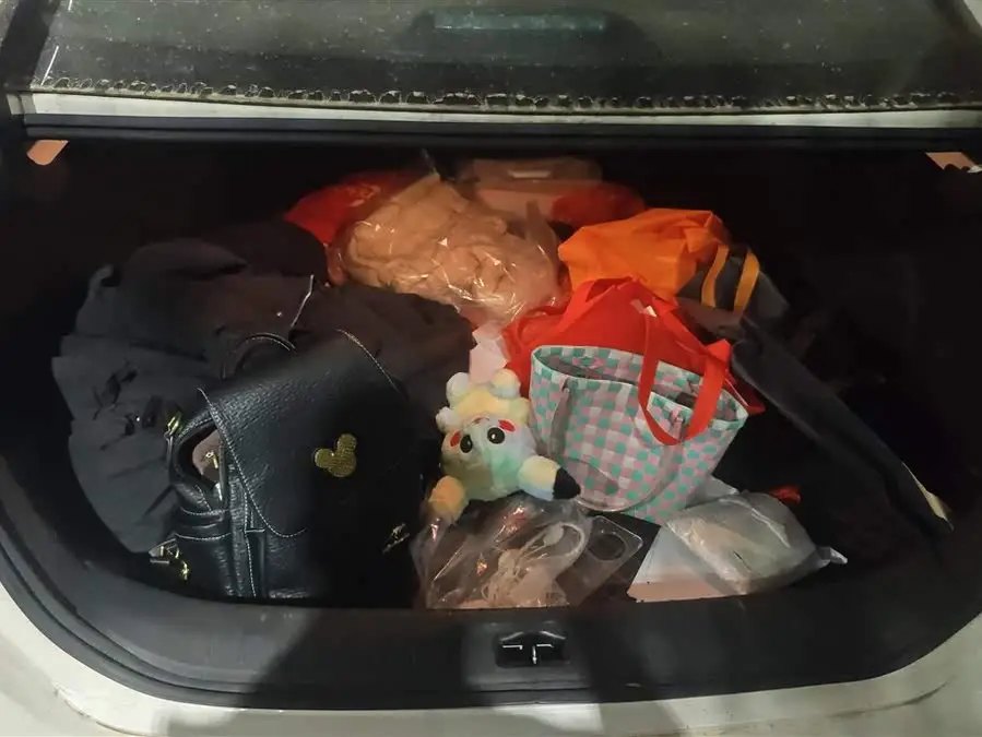 Tianlai 2020 Model Facelift 2.0L XL Upper Intelligent Version