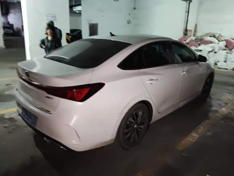 Yidong 2022 PLUS Blue Whale NE 1.4T GDI DCT Premium Edition