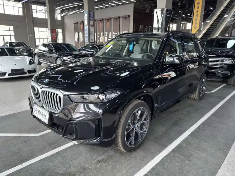 BMW X5 2023 xDrive 30Li M Sport Night Package