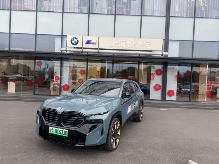 BMW XM 2023 Basic Model