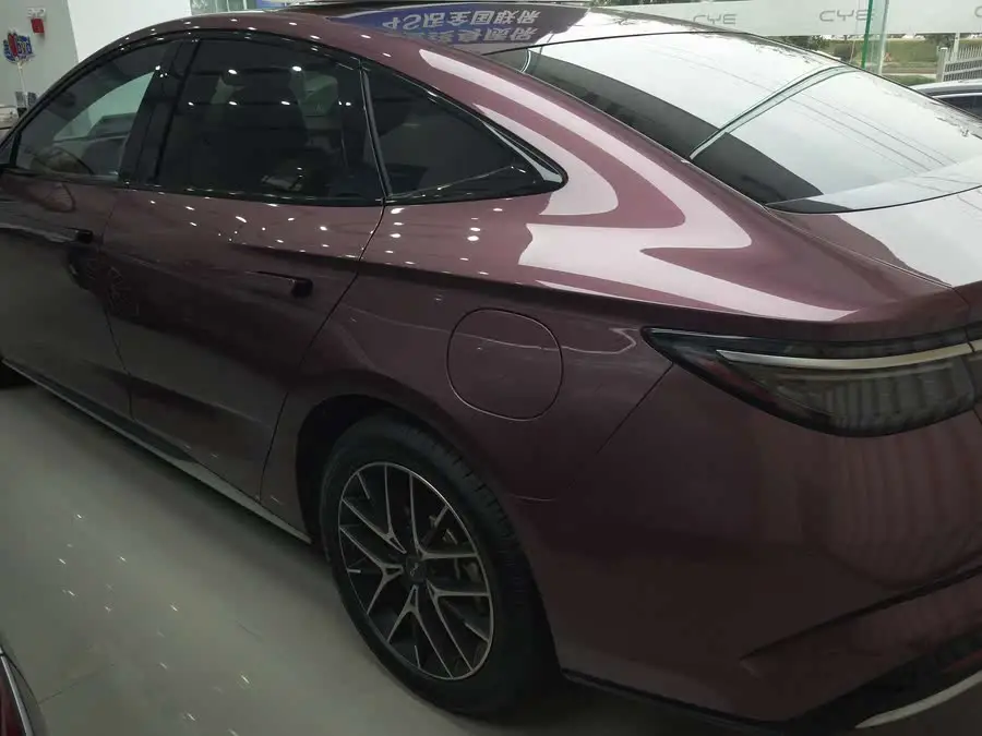 فقمة 2023 DM-i 1.5T 121كم فئة علمية