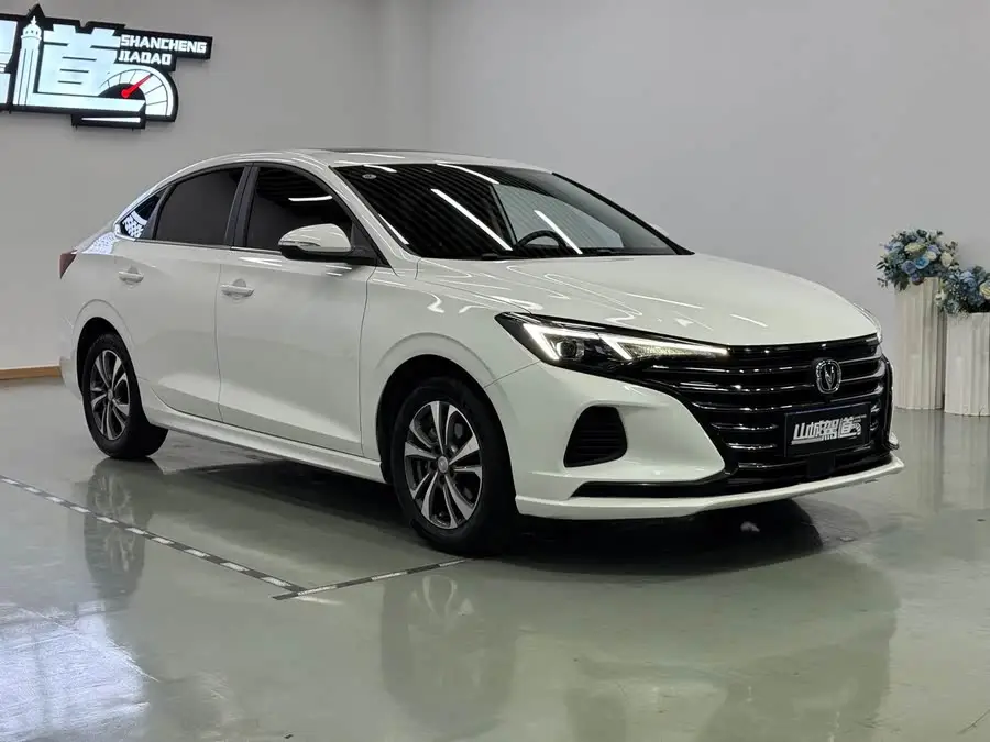 Yidong 2022 PLUS 1.6L GDI Manual Luxury Version