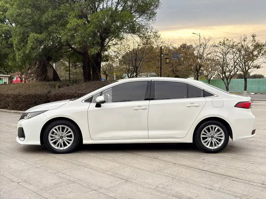 أسد آسيوي 2021 2.0 لتر فئة فاخرة