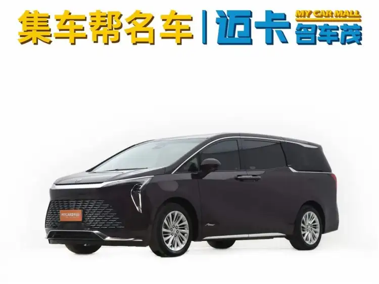 2023 Century 2.0T Six-Seater Yunshe Edition