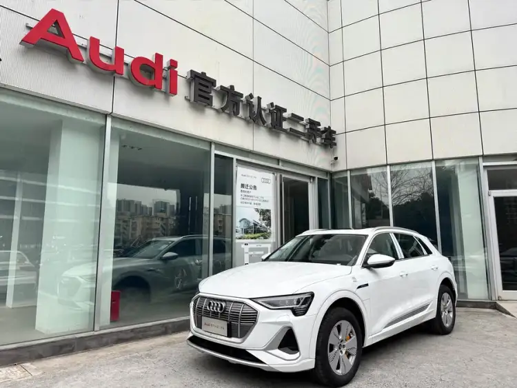 Audi e-tron 2021 50 quattro Luxury
