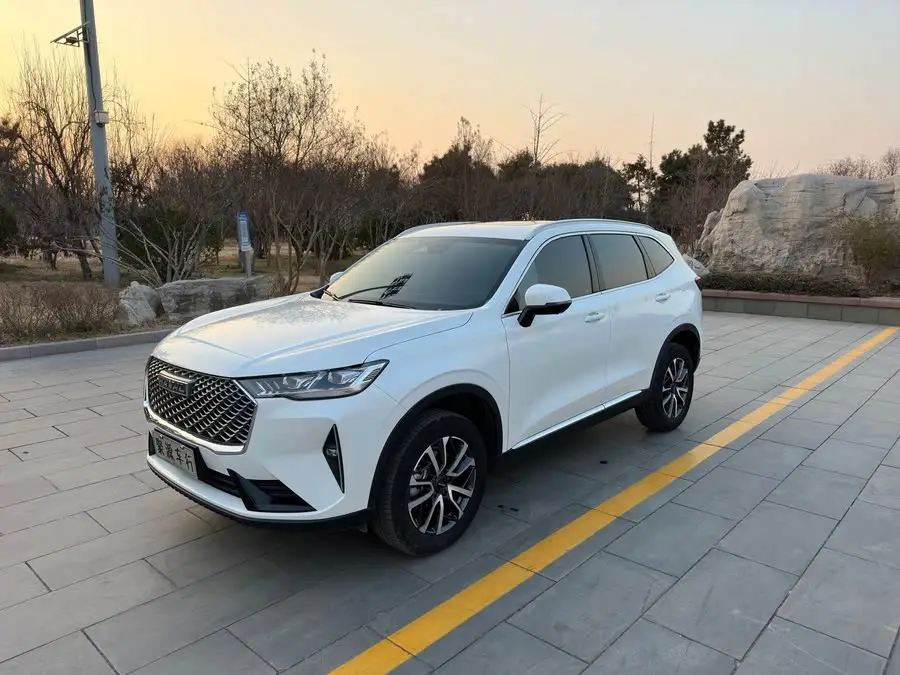 Haval H6 2022 Model Third Generation 1.5T Automatic Two-Wheel Drive Max