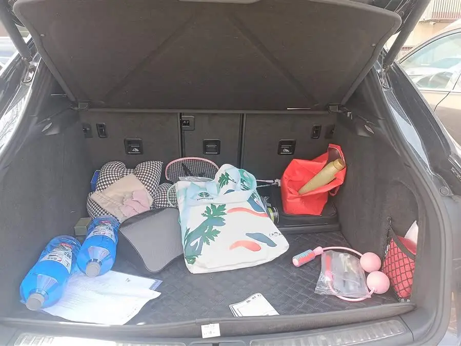 2021 Macan Macan 2.0T