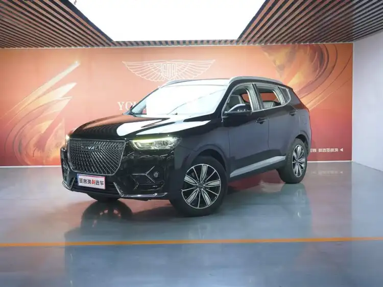 Haval H6 2021 1.5T Automatic Champion Edition