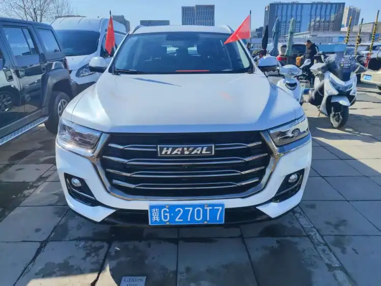 Haval H6 2021 National Trend Edition 1.5T Automatic Champion Version