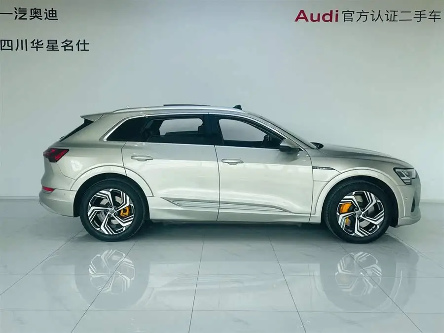 Audi e-tron 2021 50 quattro Selection