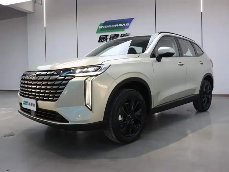 Haval H6 2024 1.5T Two-Wheel Drive Ultra