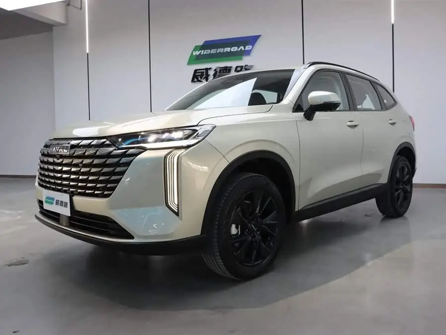 Haval H6 2024 1.5T Two-Wheel Drive Ultra