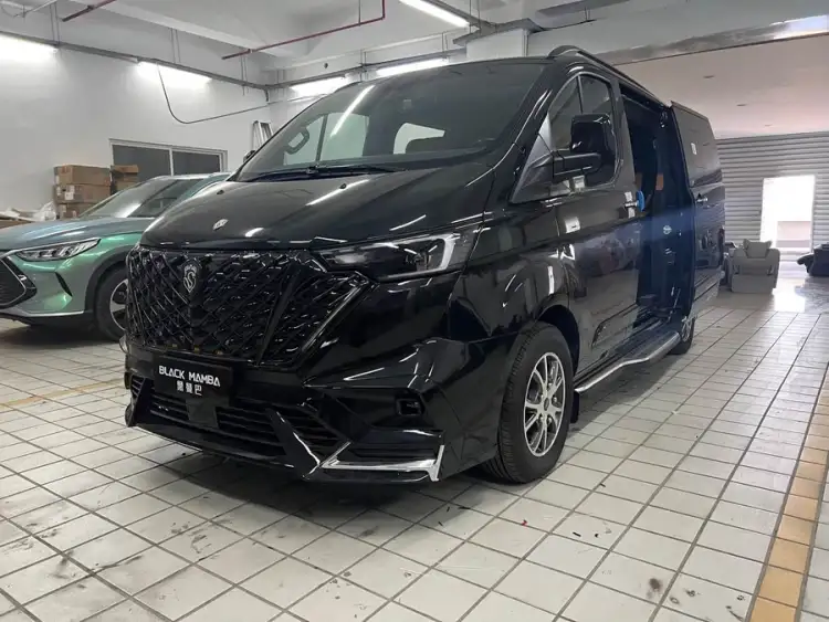 Tourneo 2023 2.0T Automatic Prestige Edition