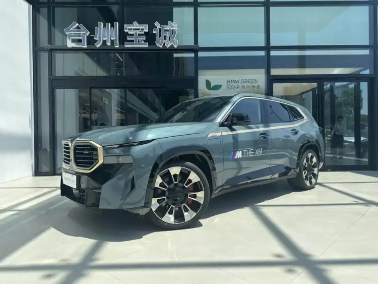 BMW XM 2023 Basic Model