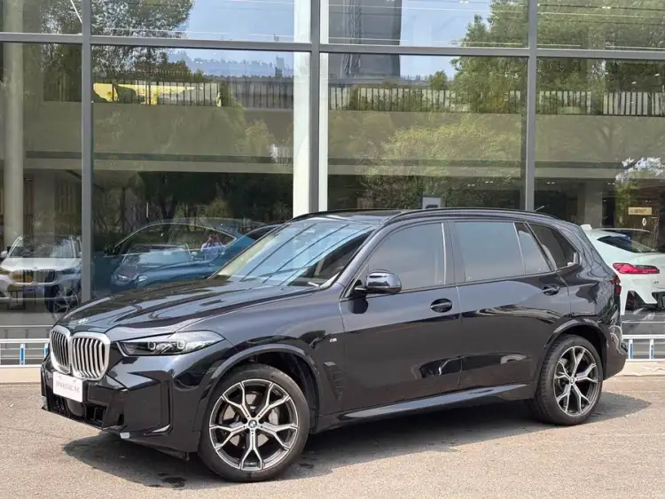 BMW X5 2023 xDrive 30Li Luxury M Sport Night Package