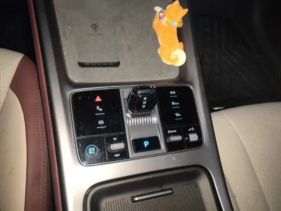 أسد البحر 2024 نسخة الشرف DM-i 1.5T 121 كم طراز رفيع