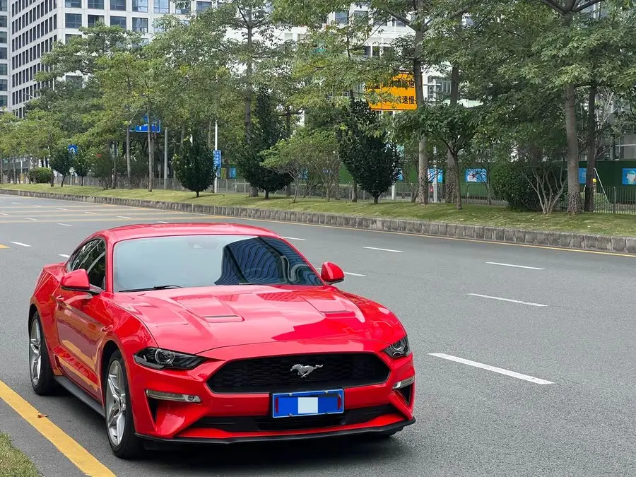 2019 Mustang 2.3L EcoBoost Performance Package