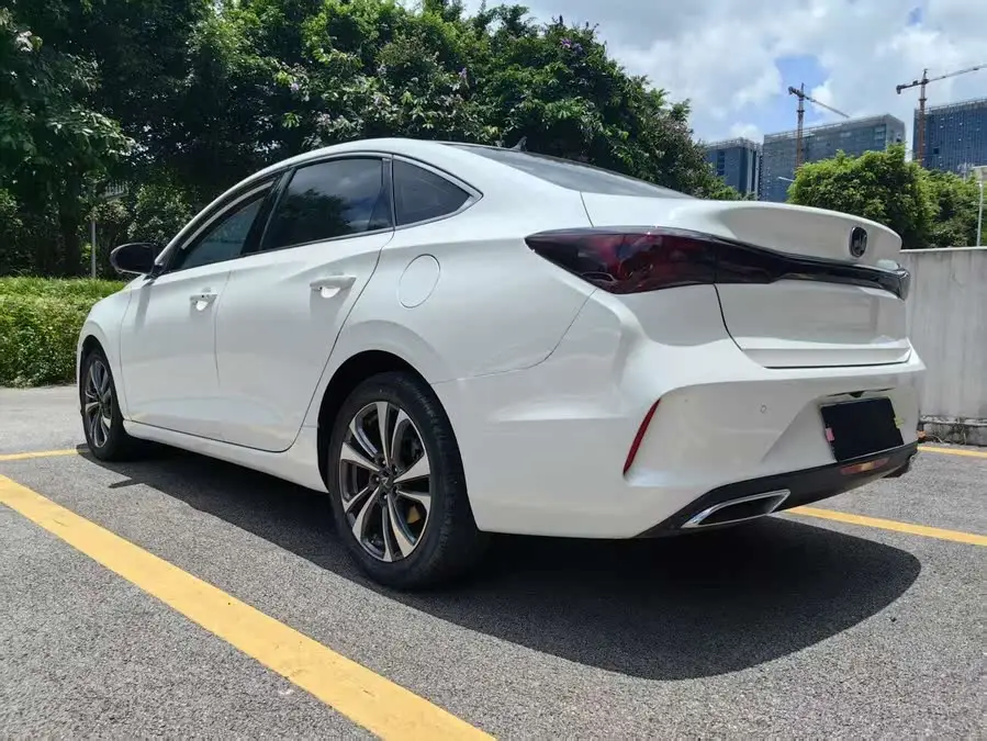 Yidong 2020 Plus Blue Whale NE 1.4T GDI DCT Flagship