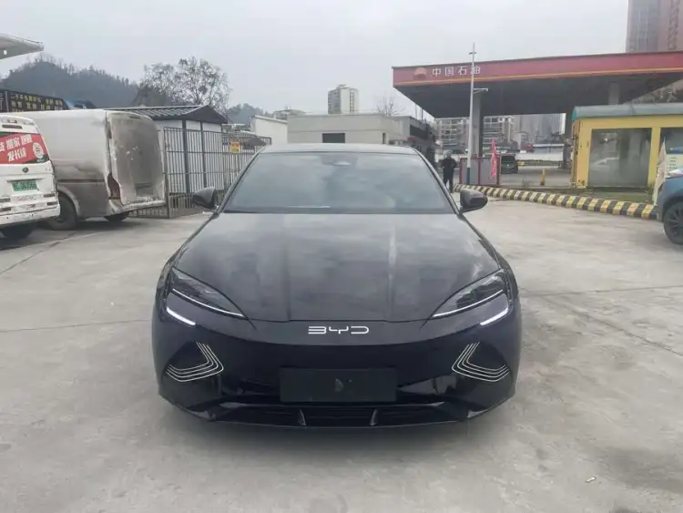 Sealion 2023 Champion Edition 550km Deluxe Model