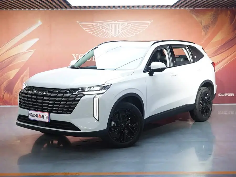 Haval H6 2024 1.5T Two-Wheel Drive Max