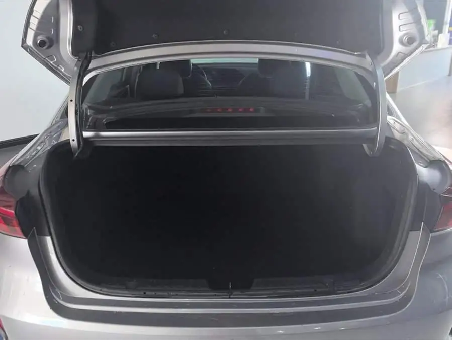 Yidong 2020 PLUS 1.6L GDI Automatic Luxury Edition