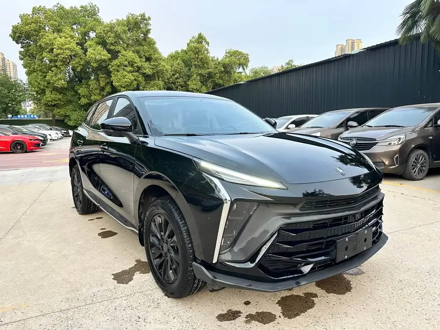 Fengxing T5 EVO 2024 Crazy Edition 1.5TD DCT Platinum