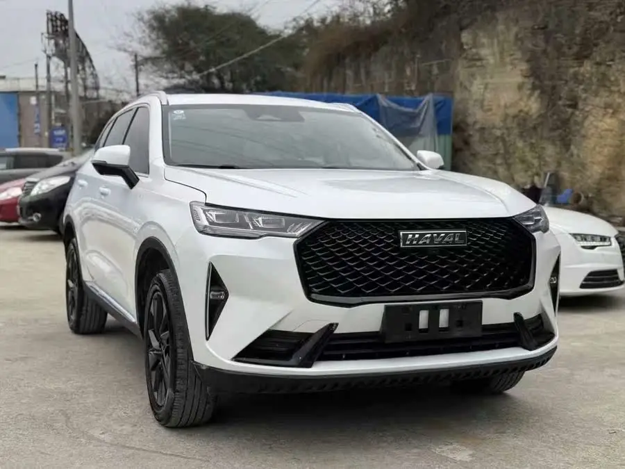 Haval H6 2021 Model Third Generation 2.0T Automatic Four-Wheel Drive Supreme