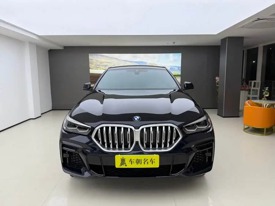 BMW X6 2022 xDrive30i M Sport Package