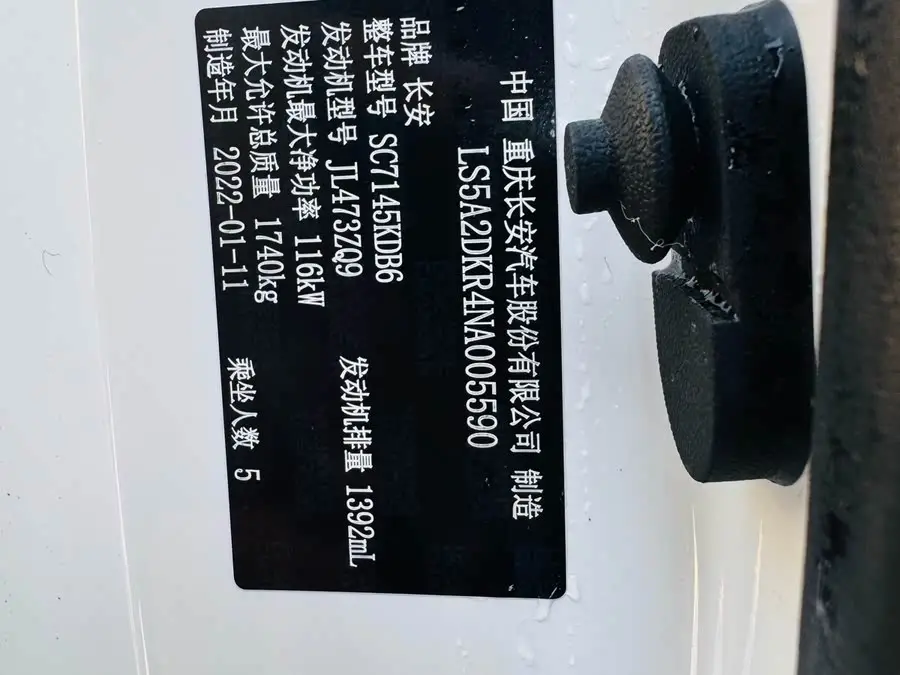 Yidong 2022 PLUS Blue Whale NE 1.4T GDI DCT Flagship Version