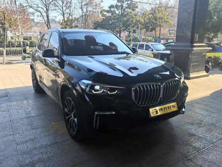 BMW X5 2022 xDrive 30Li M Sport Package