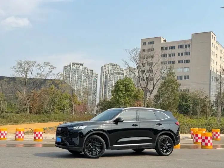 Haval H6 2021 Model Third Generation 2.0T Automatic Four-Wheel Drive Max