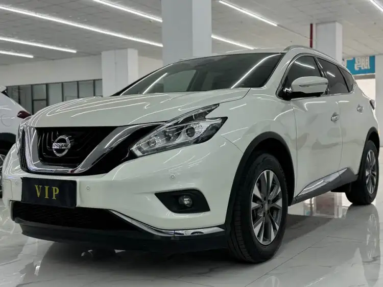 Loulan 2021 2.5L XL Two-Wheel Drive Smart Luxury Version