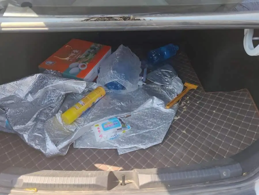 LAVIDA 2023 1.5L Automatic Five Million Edition