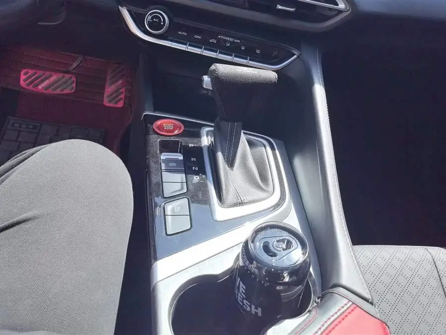 Yidong 2021 PLUS 1.6L GDI CVT Luxury Edition