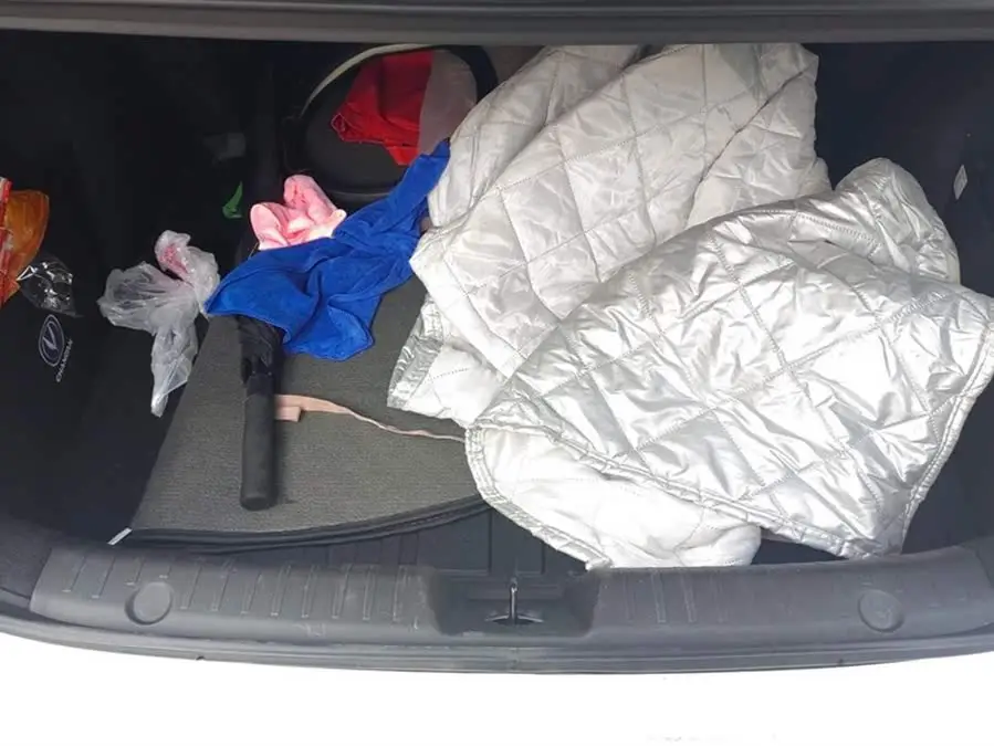 Yidong 2024 PLUS Blue Whale NE 1.4T GDI DCT High Energy Version