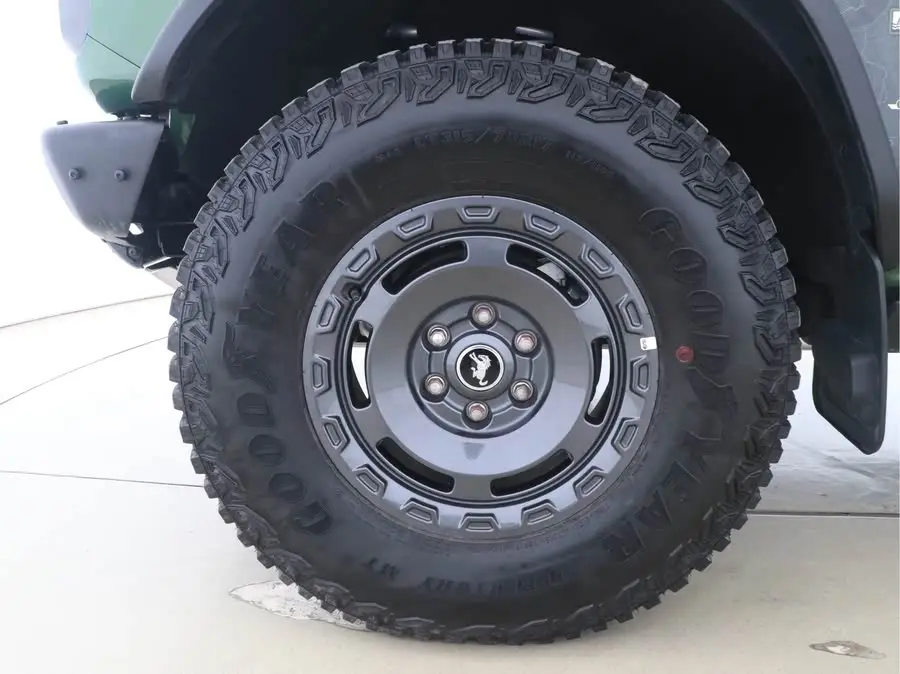 فورد موستانغ 2024 2.3T المستنقع