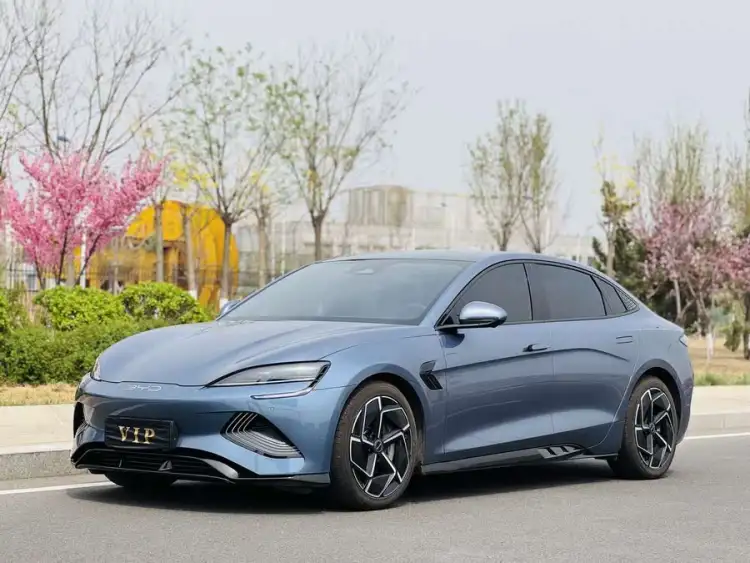 Sealion 2022 Model 700km Long Range Rear-Wheel Drive Version