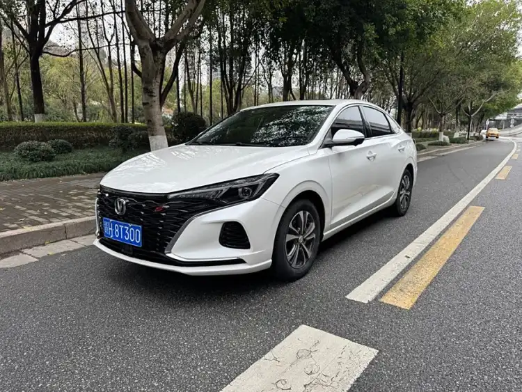 Yidong 2020 Plus Blue Whale NE 1.4T GDI DCT Premium