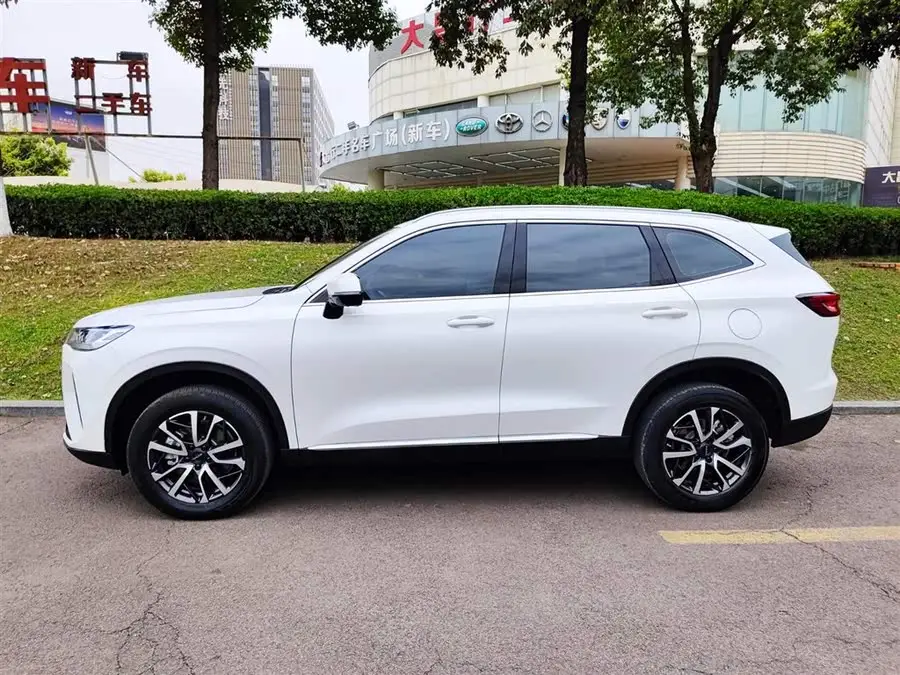 Haval H6 2022 Model Third Generation 1.5T Automatic Two-Wheel Drive Pro