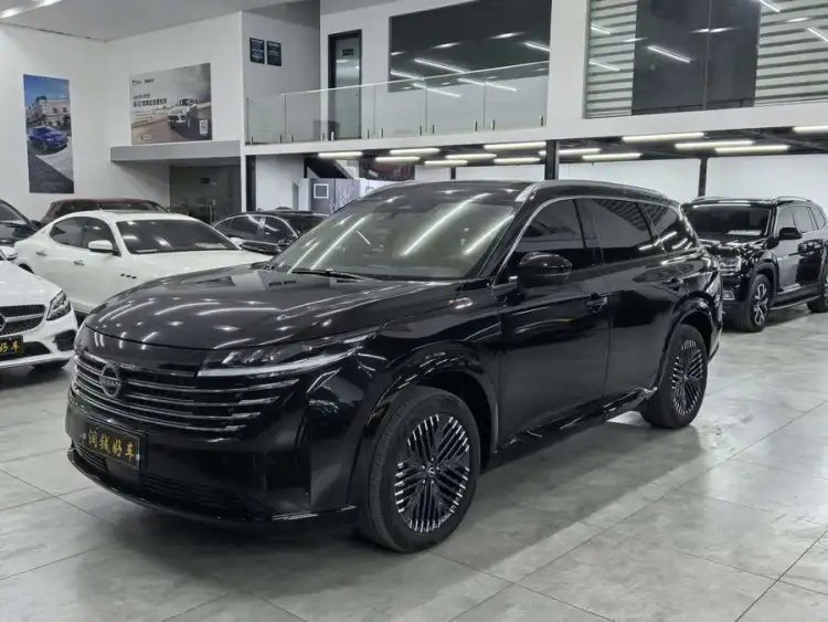 Tanlu 2024 380VC-TURBO All-Wheel Drive Intelligent Driving Edition 7-Seater