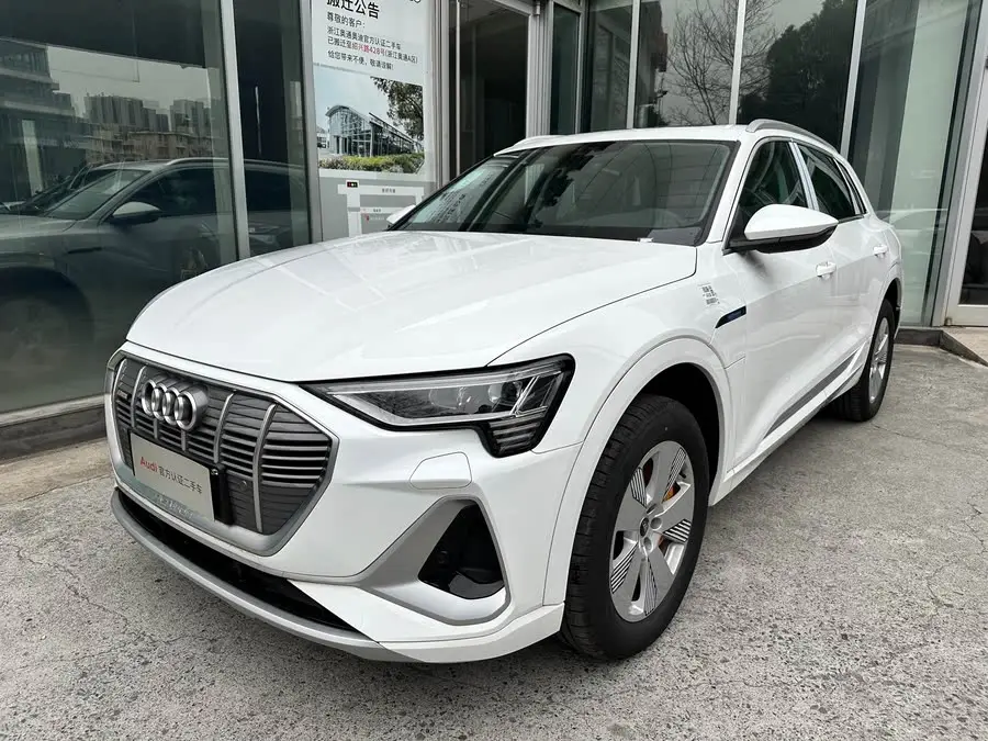 Audi e-tron 2021 50 quattro Luxury