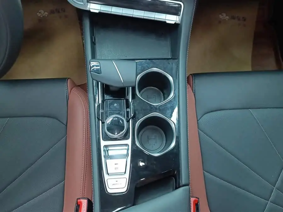 Yidong 2023 Model Changxiang Version PLUS Blue Whale NE 1.4T GDI DCT Premium Version