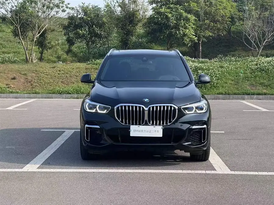 BMW X5 2022 xDrive 40Li M Sport Package