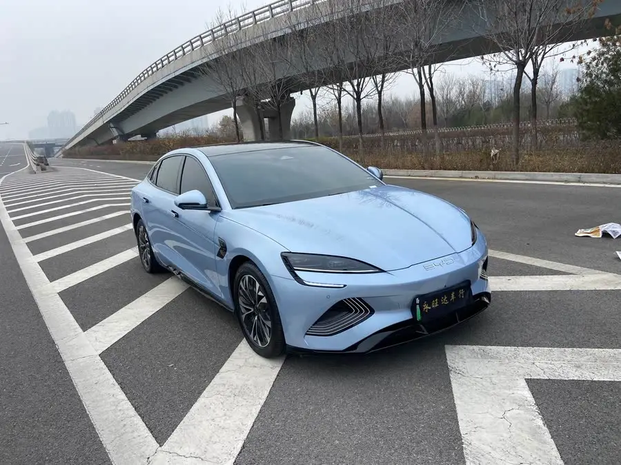 Sealion 2023 Champion Edition 550km Elite