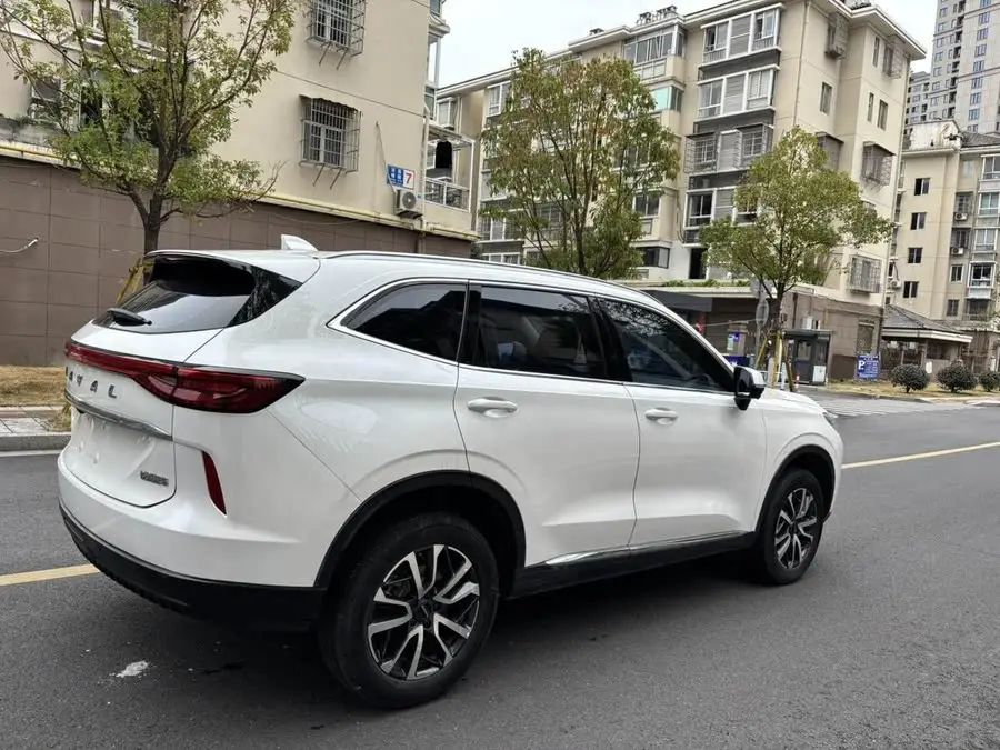 Haval H6 2021 Model Third Generation 1.5T Automatic Two-Wheel Drive Supreme