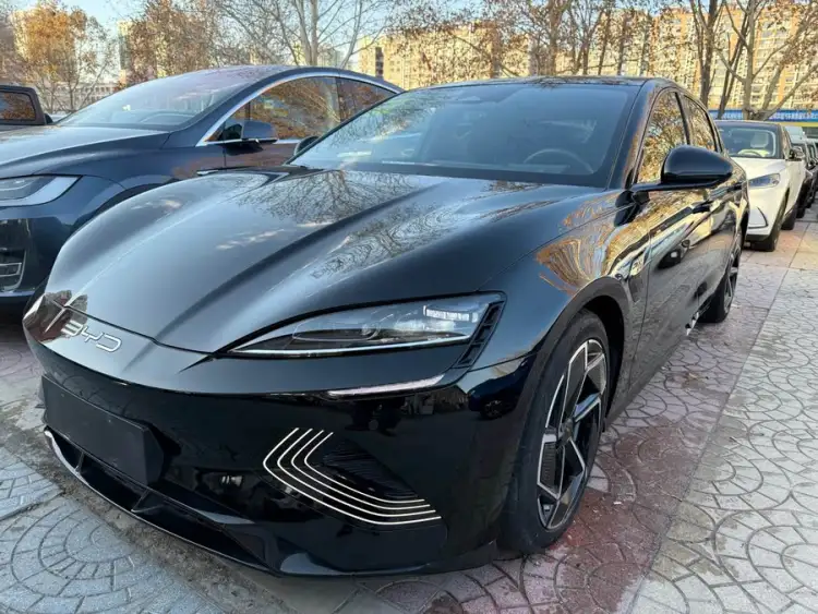 Seal 2023 Champion Edition 700km Performance Version