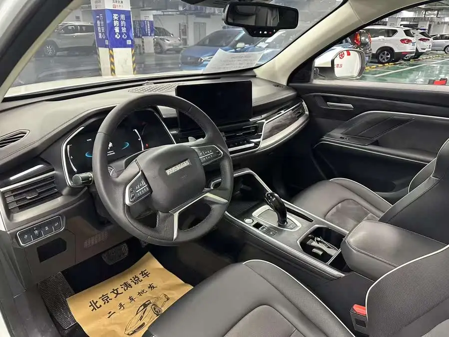 Haval H6 2021 National Tide Edition 1.5GDIT Automatic Luxury Version